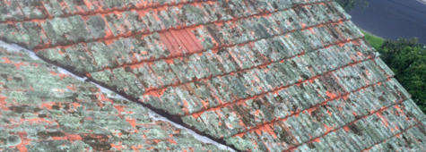 Roof moss removal Geelong